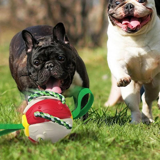 🎁 2023 Hot Sale 🎁 Bite resistant dog toy frisbee soccer