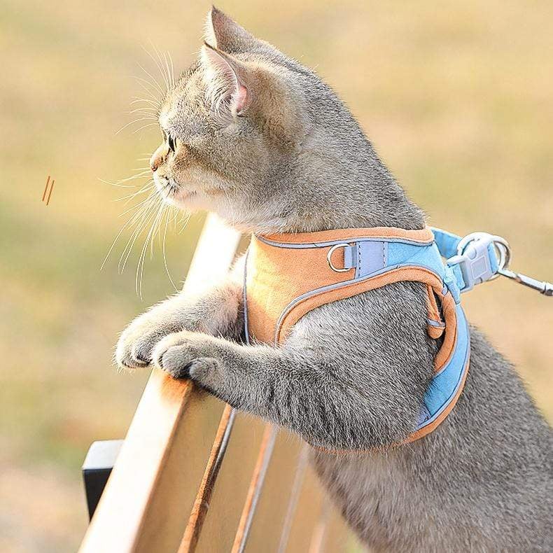 ⚡⚡Last Day Promotion 48% OFF - Luminous Cat Vest Harness and Leash Set(⚡⚡BUY 3 FREE SHIPPING)