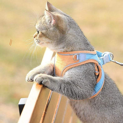 ⚡⚡Last Day Promotion 48% OFF - Luminous Cat Vest Harness and Leash Set(⚡⚡BUY 3 FREE SHIPPING)