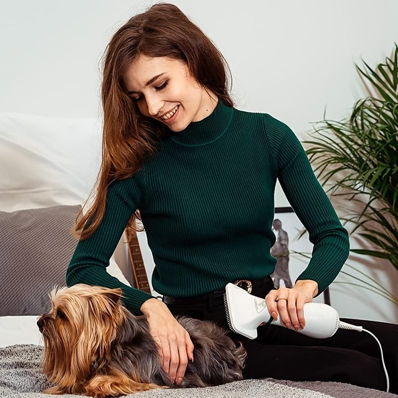 🔥HOT SALE-49%OFF🔥2-in-1 Dog Grooming Dryer