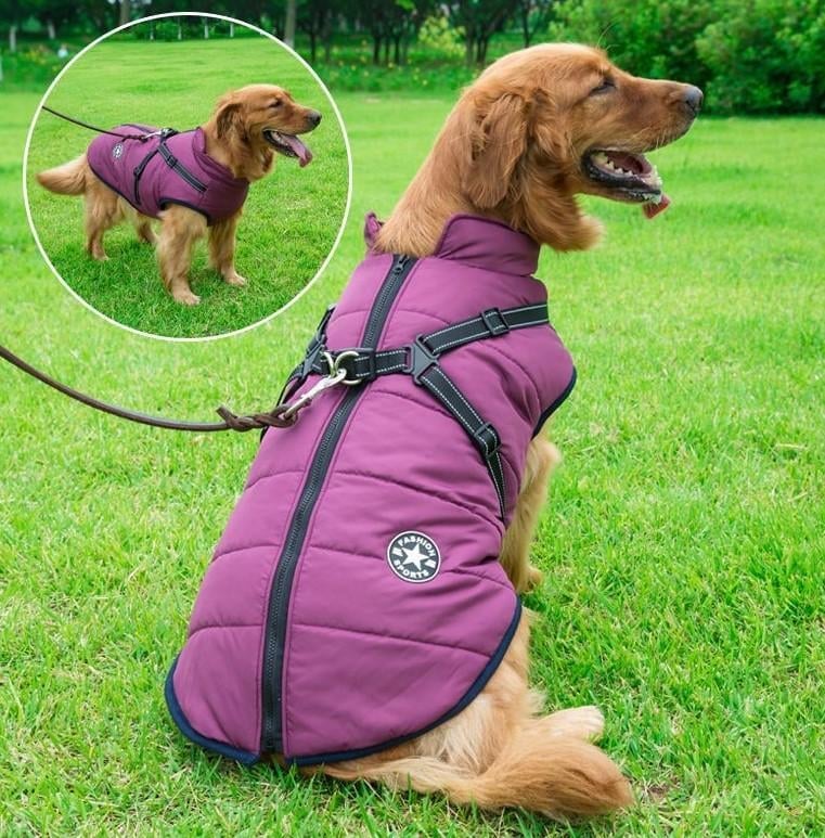 🔥Waterproof Winter Dog Jacket with Built-in Harness