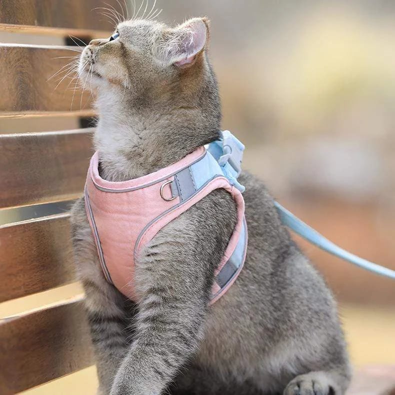 ⚡⚡Last Day Promotion 48% OFF - Luminous Cat Vest Harness and Leash Set(⚡⚡BUY 3 FREE SHIPPING)