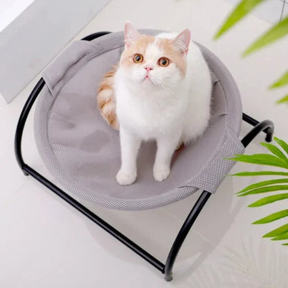 Floor Cat Hammock-With Stand (Buy 2 Free Shipping)