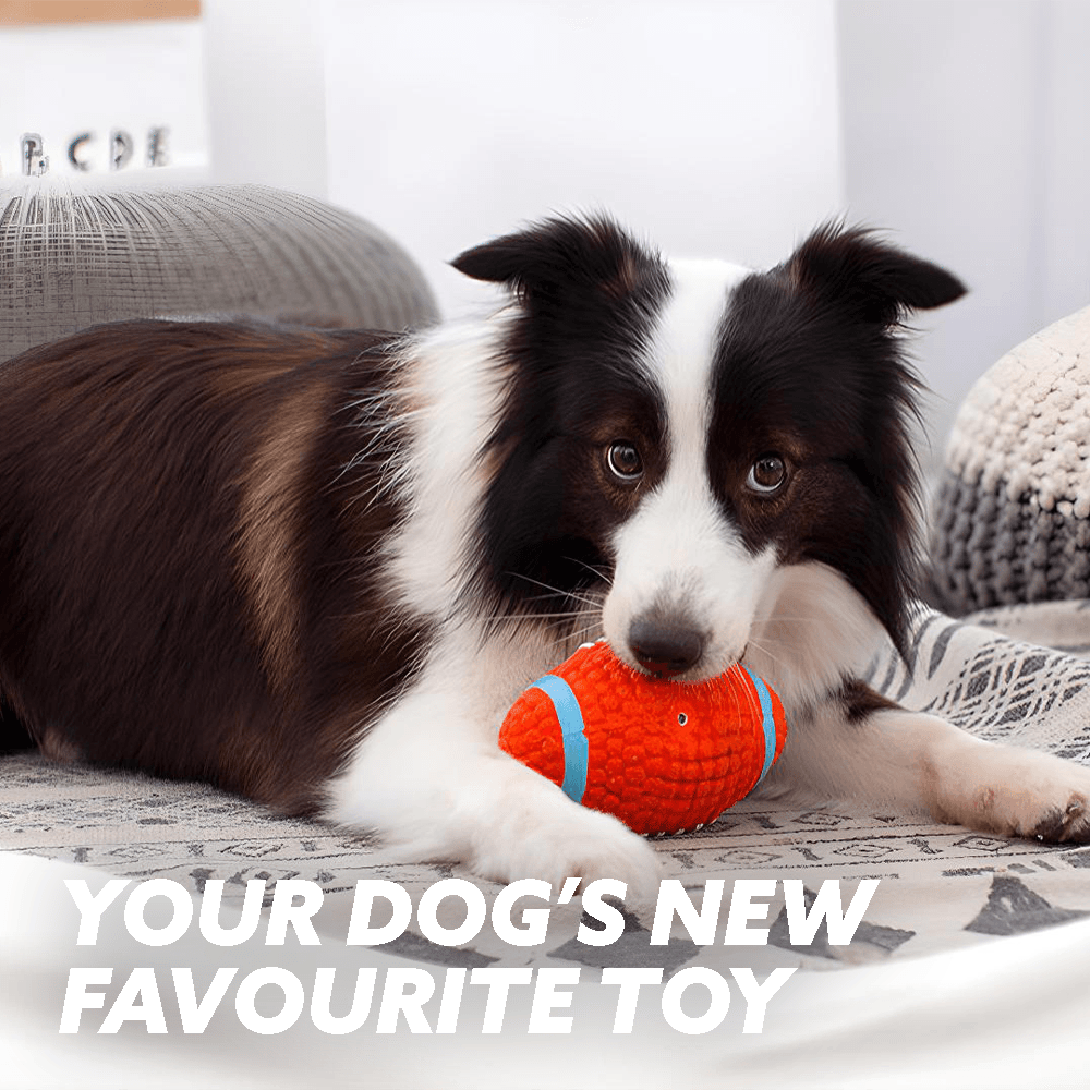 🐶Summer Sale 49% Off🔥Immortal Toy for Aggressive Chewers