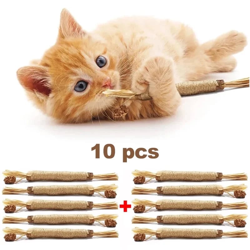 (🔥Last Day Promotion - 49% OFF) Natural Silvervine Stick Cat Chew Toy- BUY 3 GET 2 FREE TODAY!