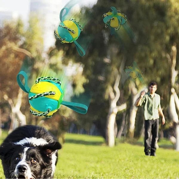 🎁 2023 Hot Sale 🎁 Bite resistant dog toy frisbee soccer