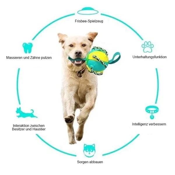 🎁 2023 Hot Sale 🎁 Bite resistant dog toy frisbee soccer