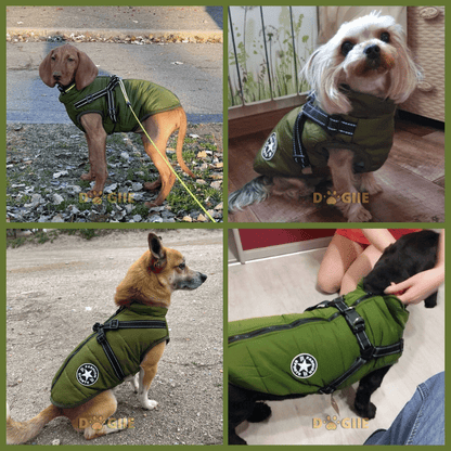 🔥Waterproof Winter Dog Jacket with Built-in Harness