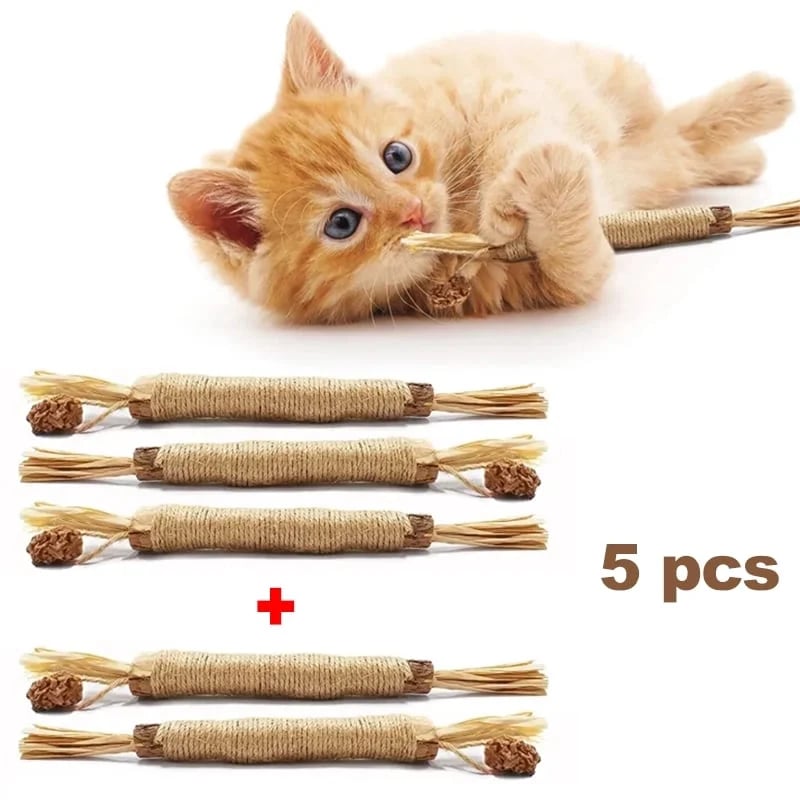 (🔥Last Day Promotion - 49% OFF) Natural Silvervine Stick Cat Chew Toy- BUY 3 GET 2 FREE TODAY!