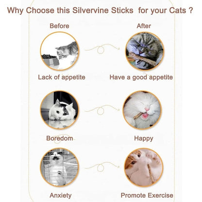 (🔥Last Day Promotion - 49% OFF) Natural Silvervine Stick Cat Chew Toy- BUY 3 GET 2 FREE TODAY!