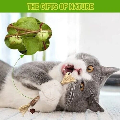 (🔥Last Day Promotion - 49% OFF) Natural Silvervine Stick Cat Chew Toy- BUY 3 GET 2 FREE TODAY!