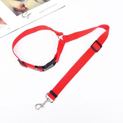 Adjustable Car Dog Leash