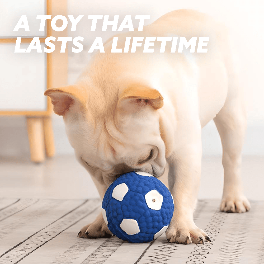 🐶Summer Sale 49% Off🔥Immortal Toy for Aggressive Chewers