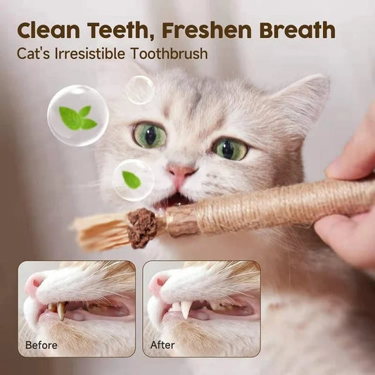 (🔥Last Day Promotion - 49% OFF) Natural Silvervine Stick Cat Chew Toy- BUY 3 GET 2 FREE TODAY!